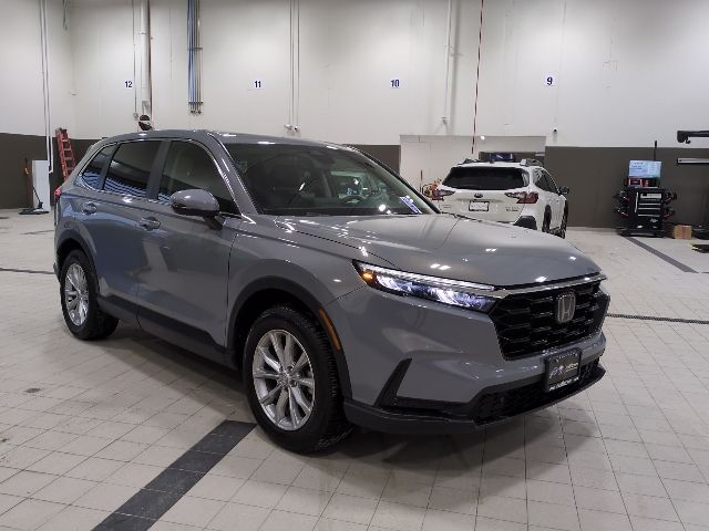 2024 Honda CR-V EX-L's photo