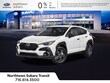 Subaru Crosstrek