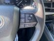 2025 Toyota Sienna LE 8 Passenger Minivan/Van