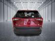 2025 Toyota RAV4 XLE SUV