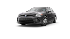 2023 Toyota Camry Hybrid LE Sedan