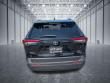2025 Toyota RAV4 XLE SUV