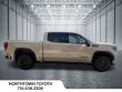 2022 GMC Sierra 1500 AT4X Truck