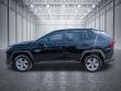 2025 Toyota RAV4 XLE SUV