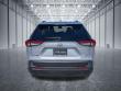 2025 Toyota RAV4 XLE SUV