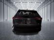 2025 Toyota RAV4 XLE SUV