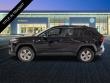 2025 Toyota RAV4 XLE SUV