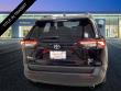 2025 Toyota RAV4 XLE SUV