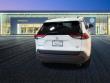 2023 Toyota RAV4 XLE SUV