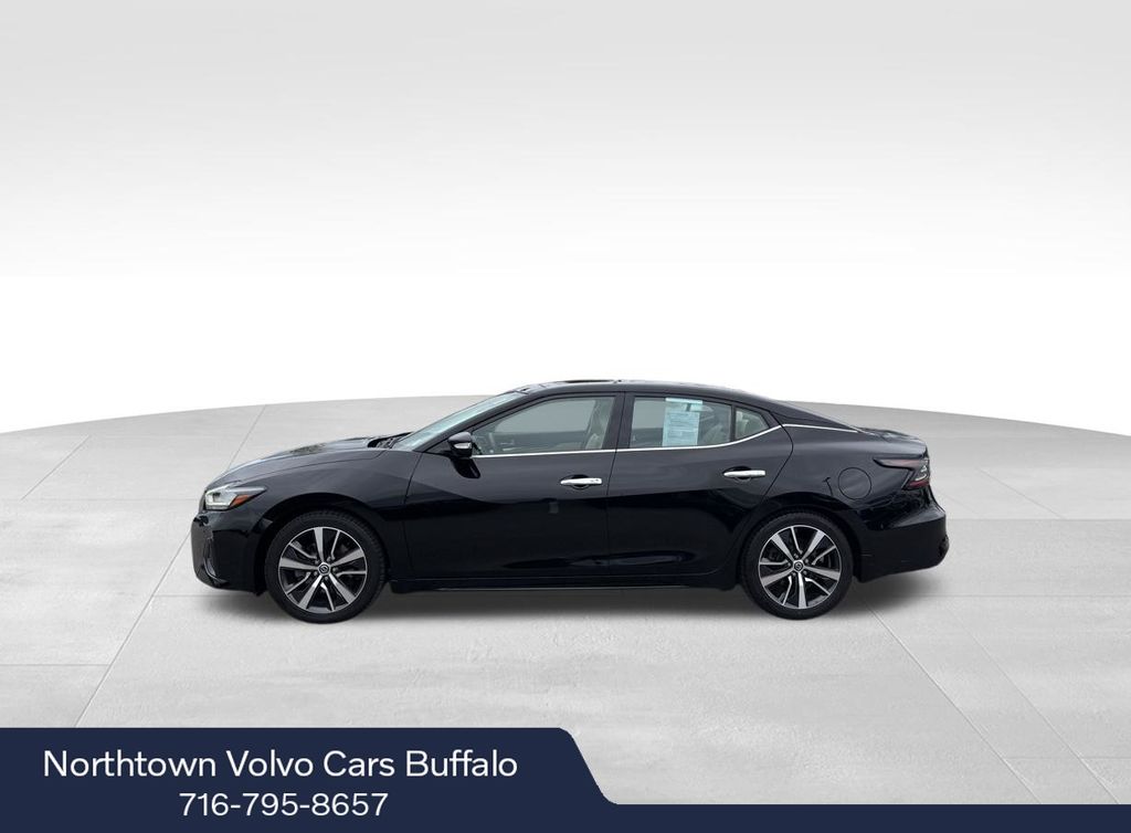 Used 2019 Nissan Maxima SL with VIN 1N4AA6AV8KC384471 for sale in Williamsville, NY
