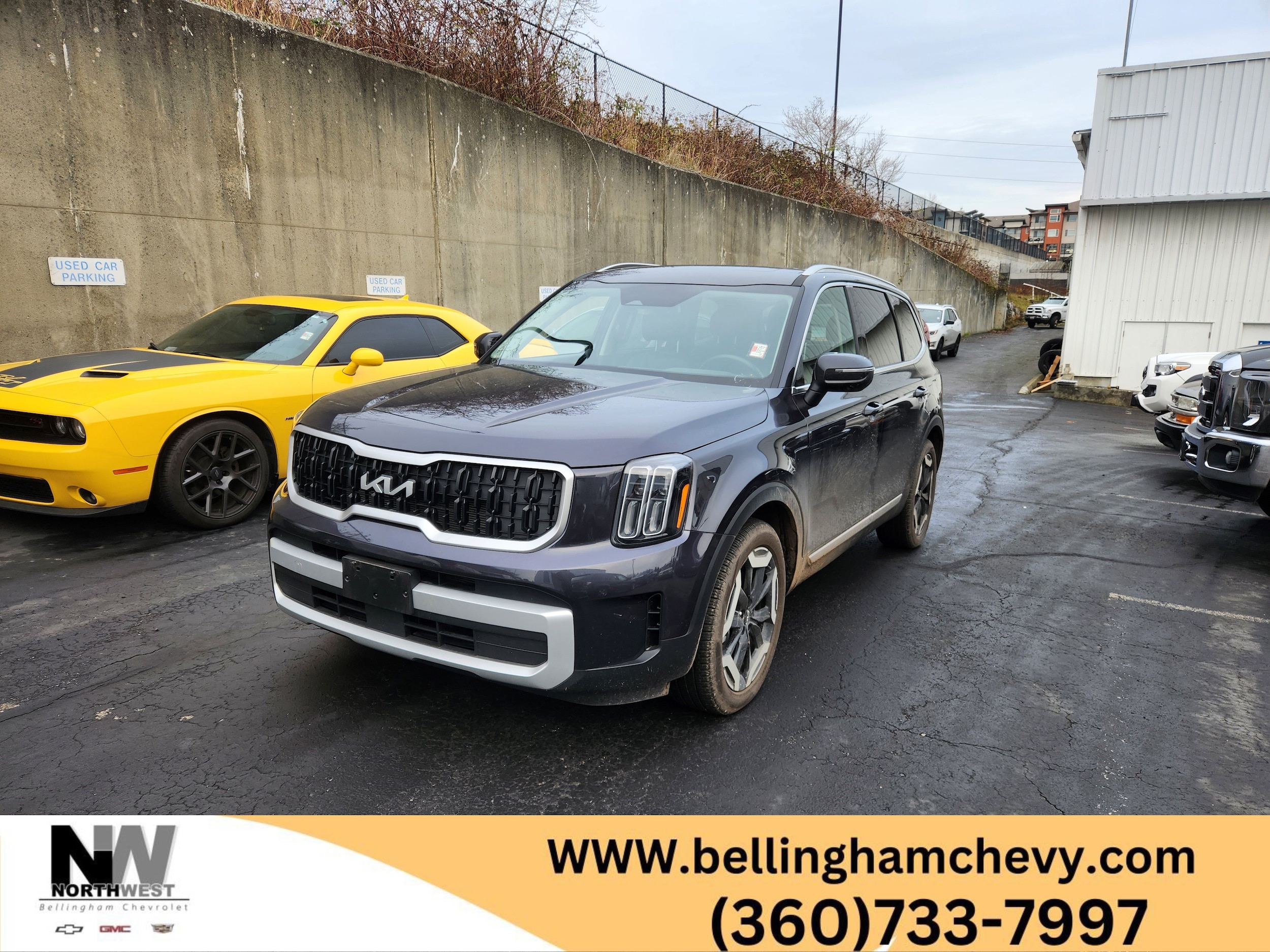 2025 Kia Telluride EX's photo