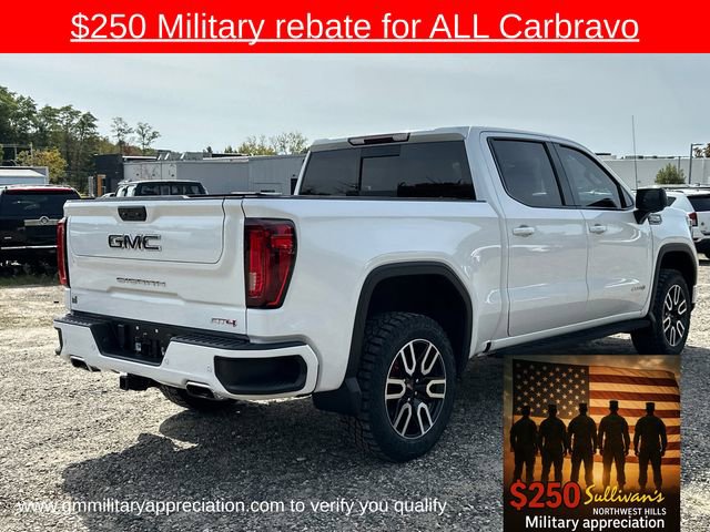 2022 Gmc Sierra 1500 AT4 photo 4