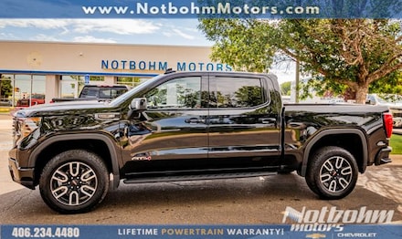 2023 GMC Sierra 1500 AT4 Truck