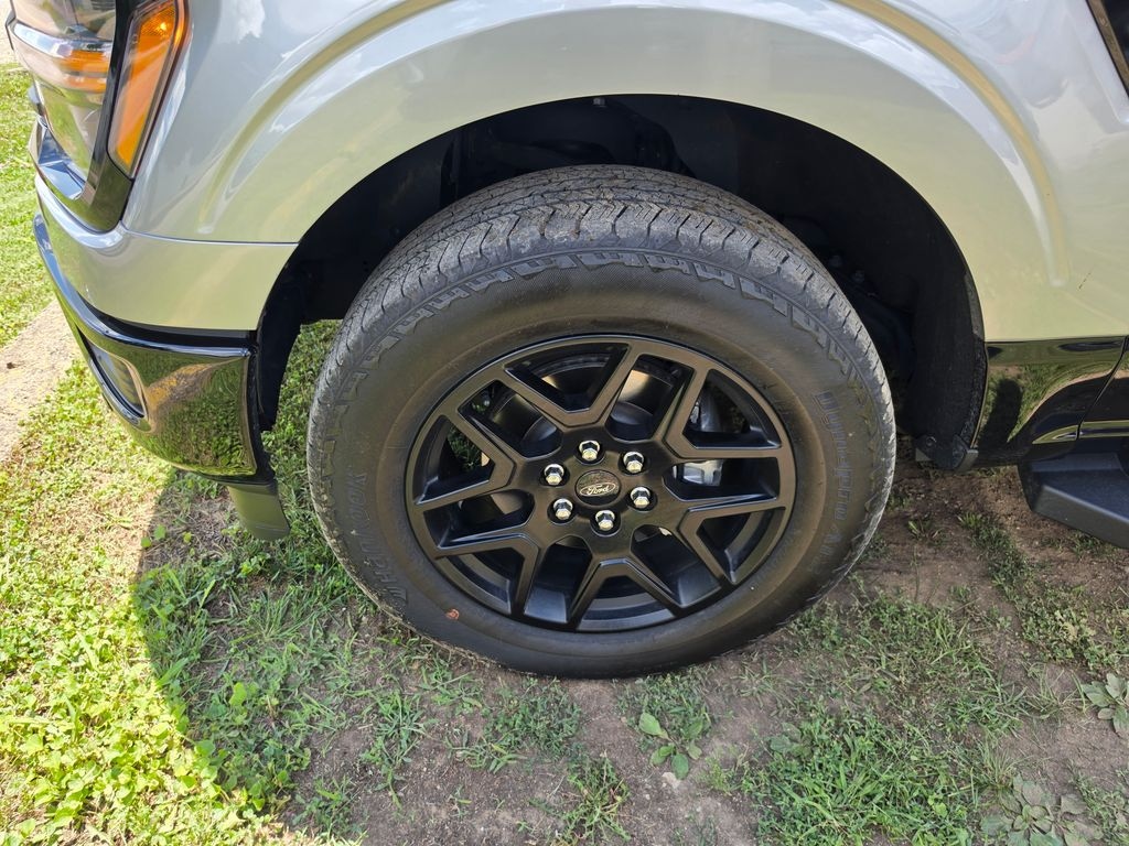 Used 2024 Ford F-150 XLT Truck