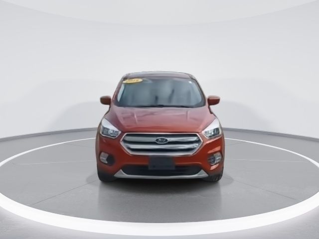 2019 Ford Escape SE photo 3