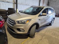 2017 Ford Escape SE SUV 1FMCU0GDXHUD52125