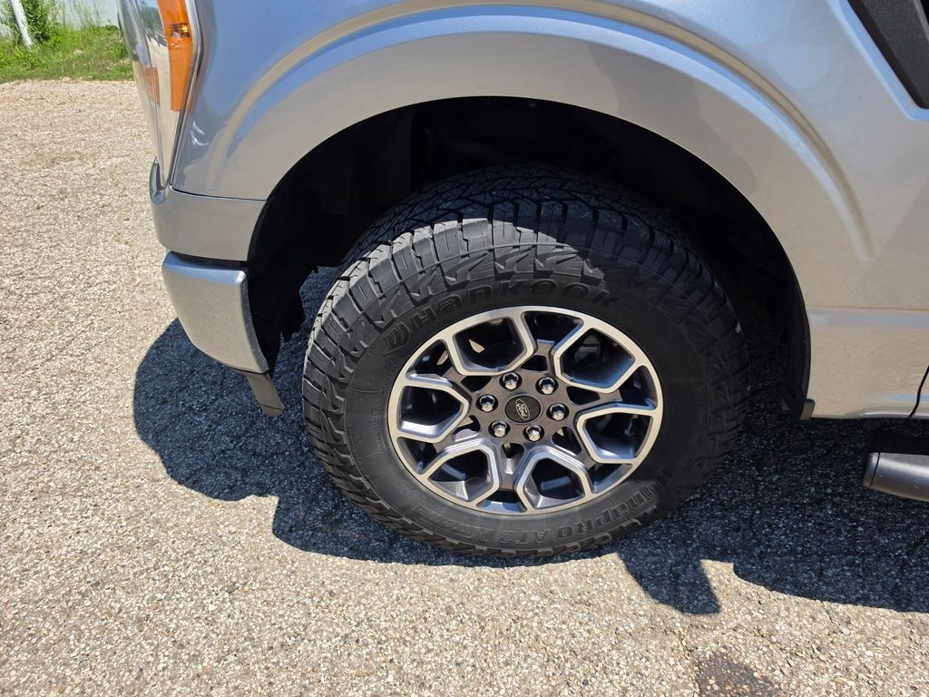 Used 2021 Ford F-150 XL Truck