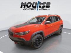 2021 Jeep Cherokee Trailhawk SUV 1C4PJMBX4MD198867
