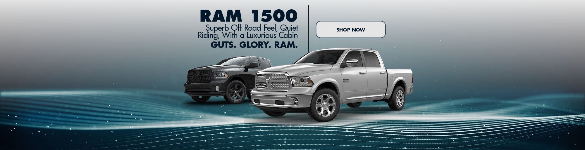 Featured Inventory New Jersey Novak Motors