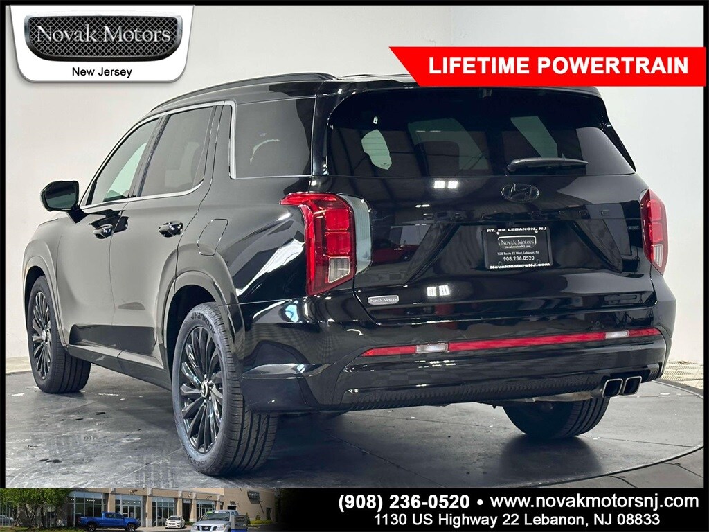 2024 Hyundai Palisade Calligraphy photo 3
