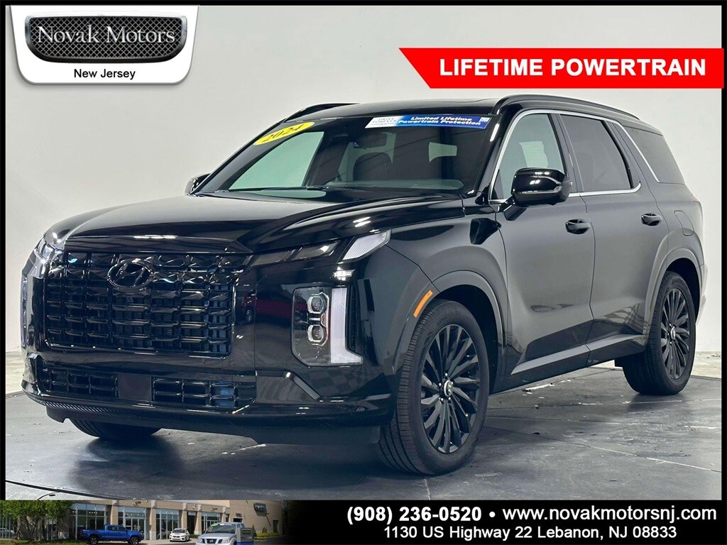 2024 Hyundai Palisade Calligraphy photo 2