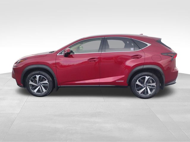 2021 Lexus NX 300h photo 2
