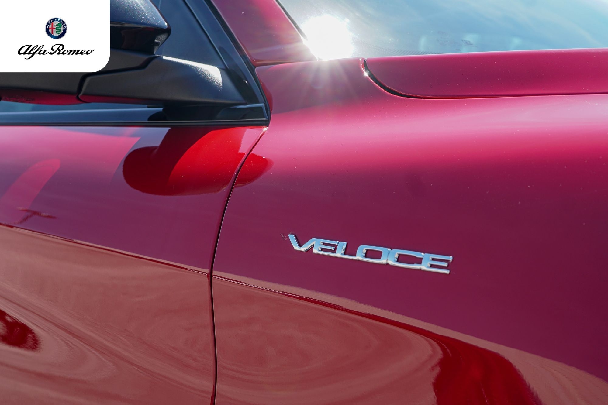 2025 Alfa Romeo Stelvio Base - Photo 8