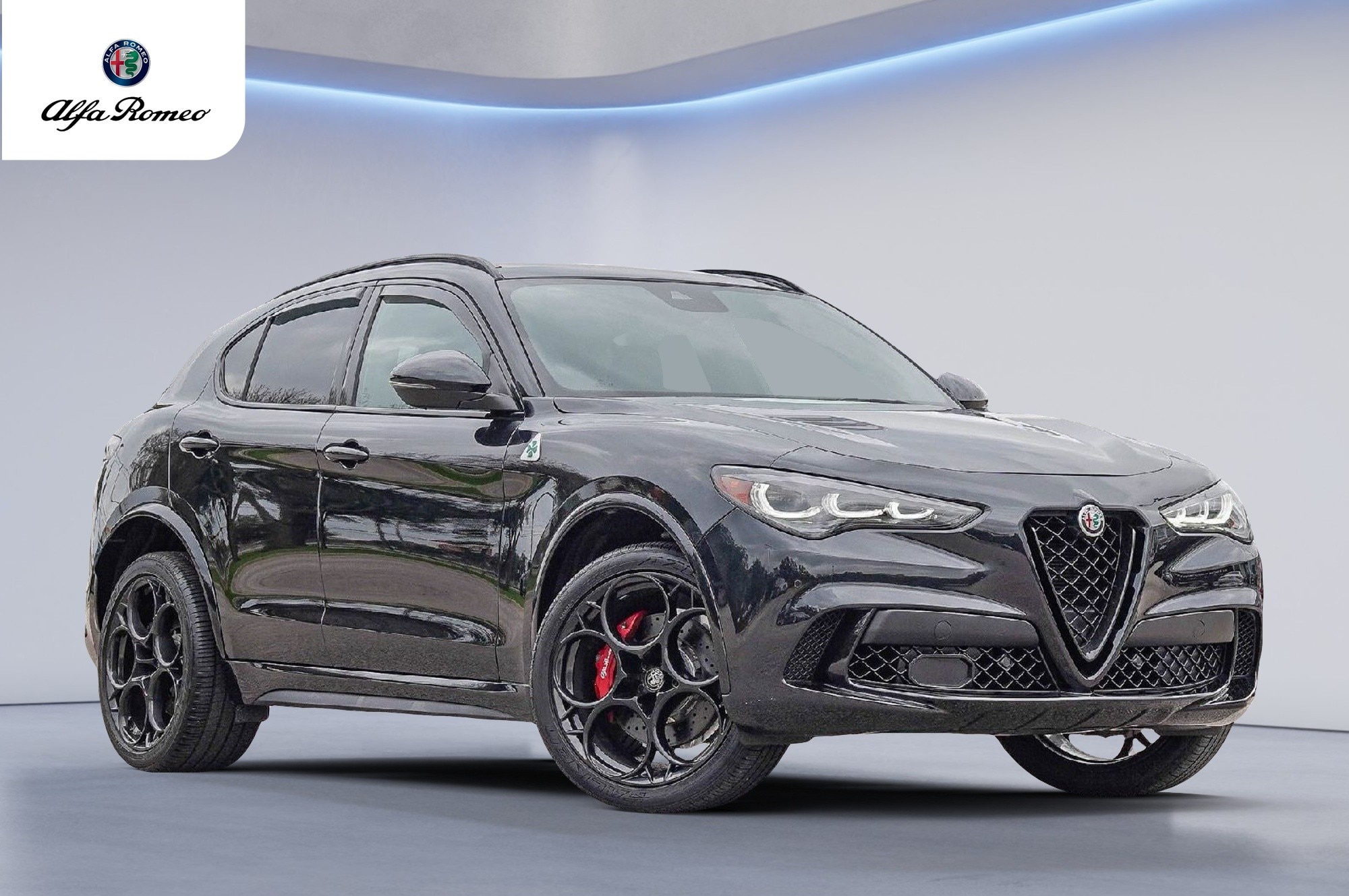 2024 Alfa Romeo Stelvio Quadrifoglio's photo