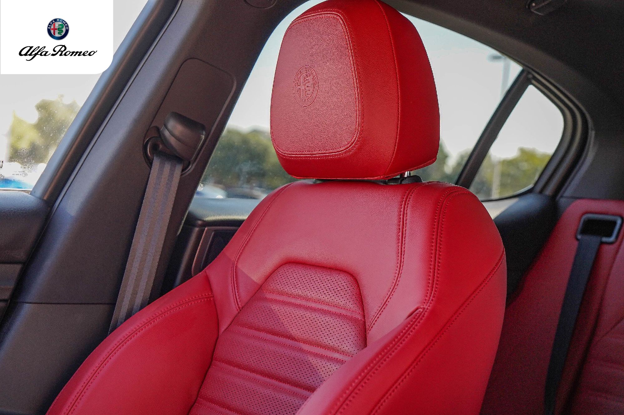 2025 Alfa Romeo Stelvio Base - Photo 12