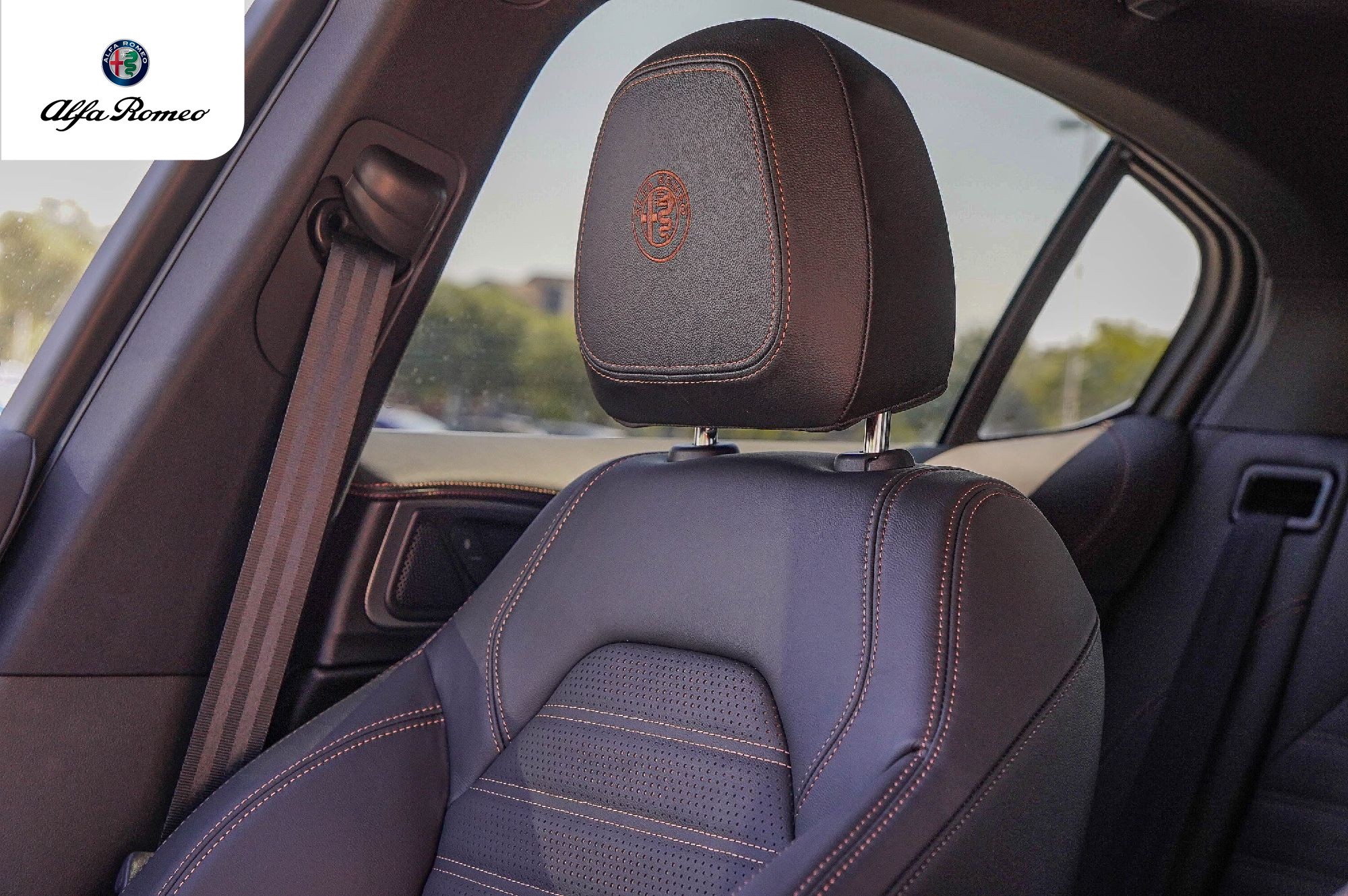 2025 Alfa Romeo Stelvio Intensa - Photo 12