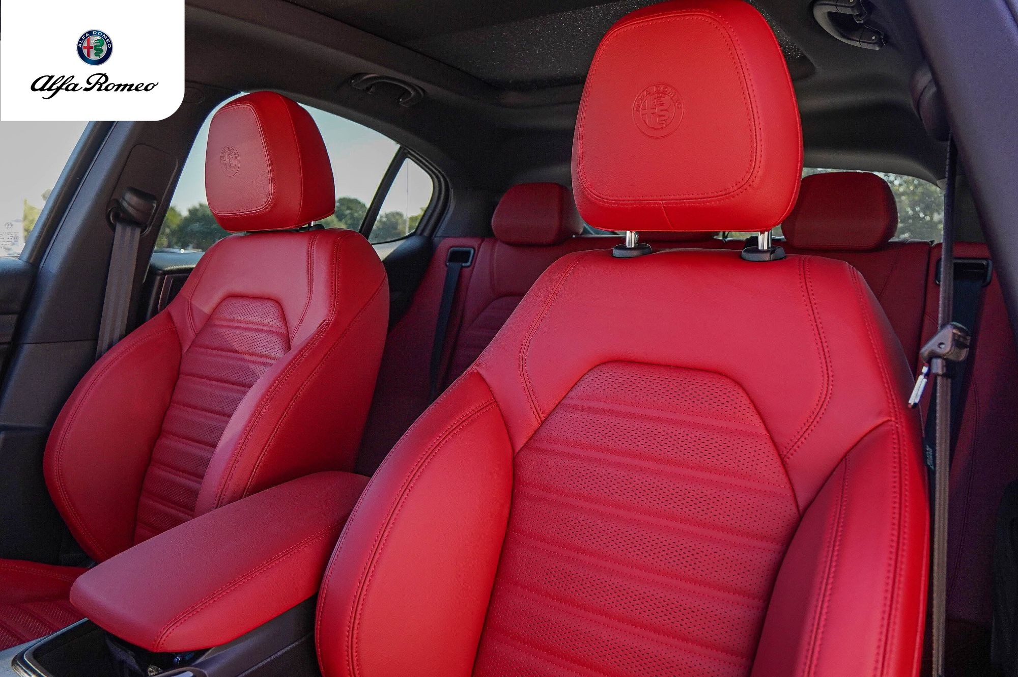 2025 Alfa Romeo Stelvio Base - Photo 11