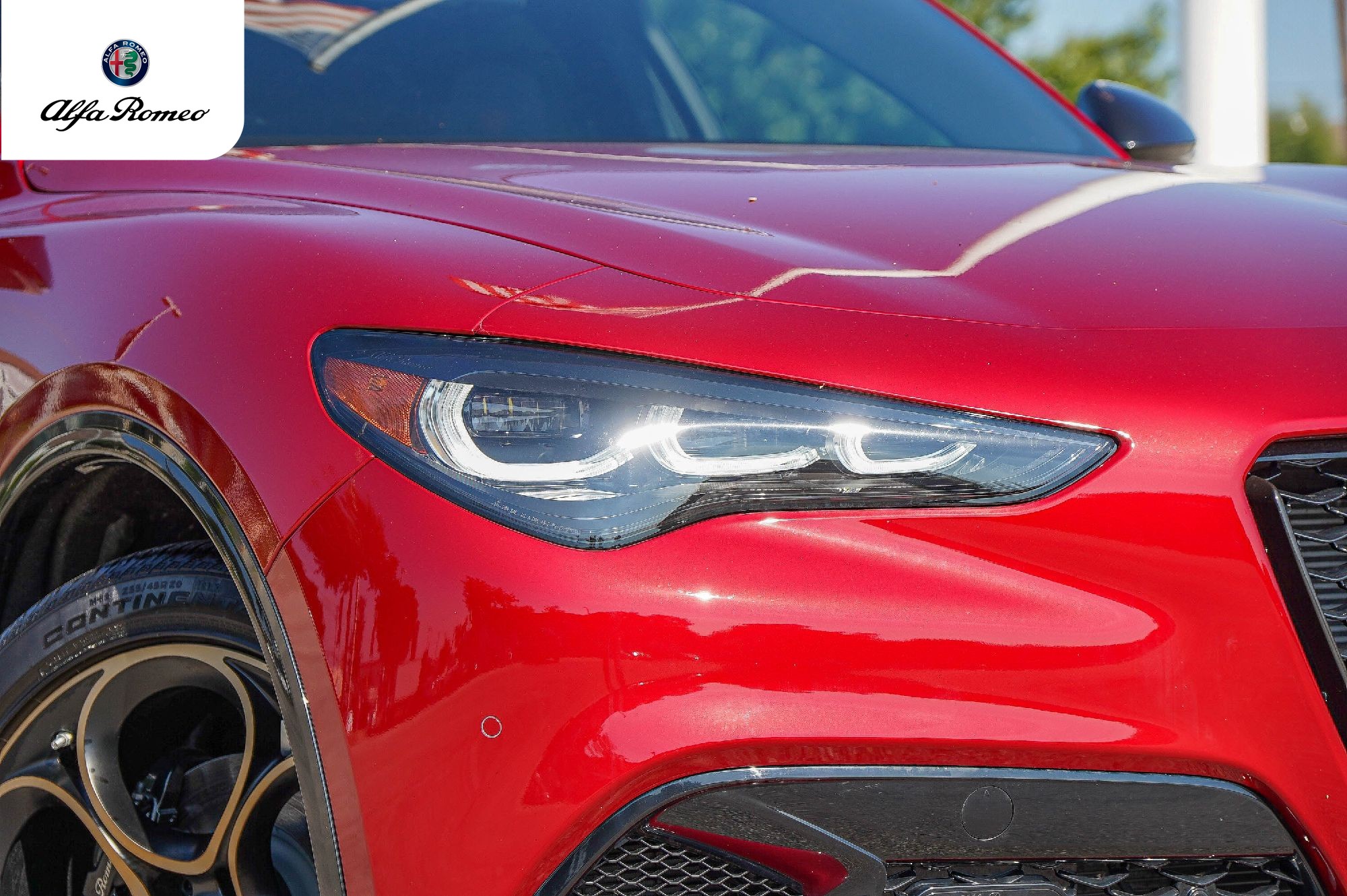 2025 Alfa Romeo Stelvio Intensa - Photo 3
