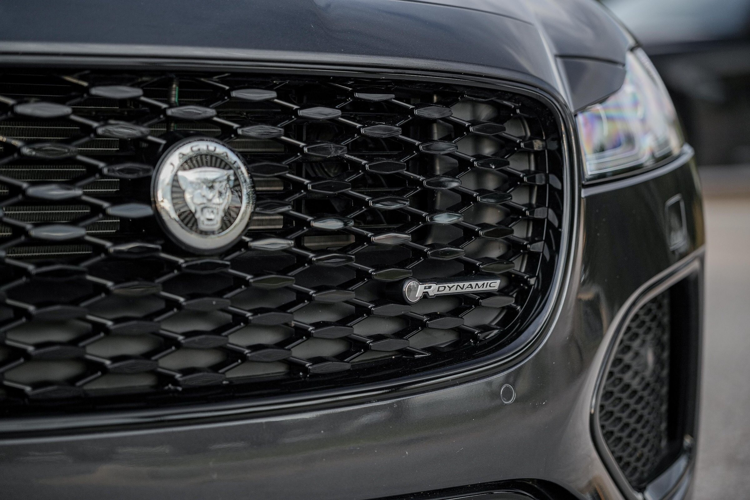 2024 Jaguar XF P300 R-Dynamic SE photo 4