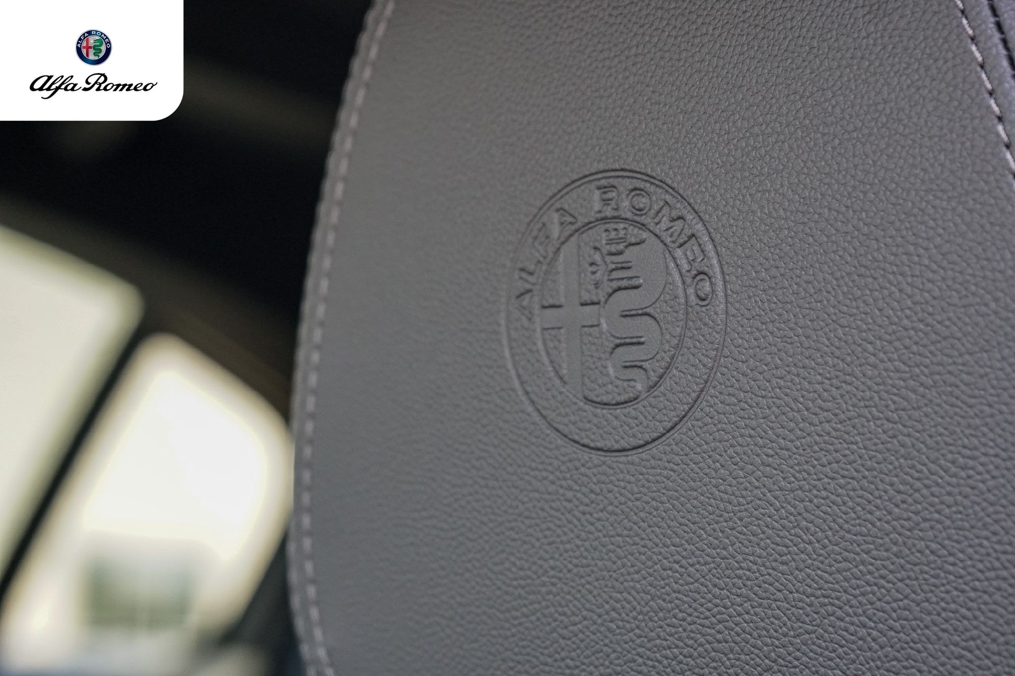 2026 Alfa Romeo Stelvio Base - Photo 12
