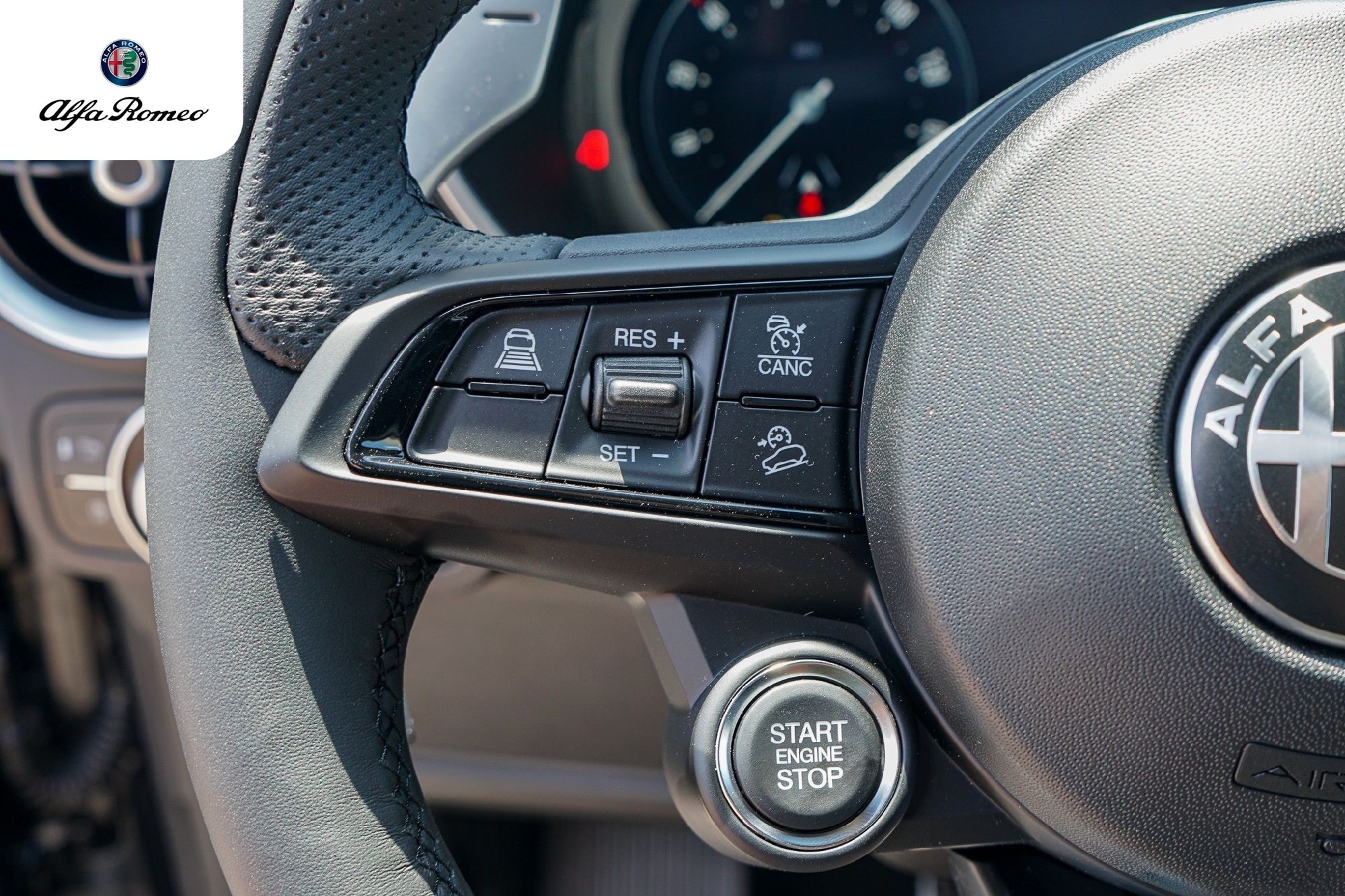 2026 Alfa Romeo Stelvio Base - Photo 15
