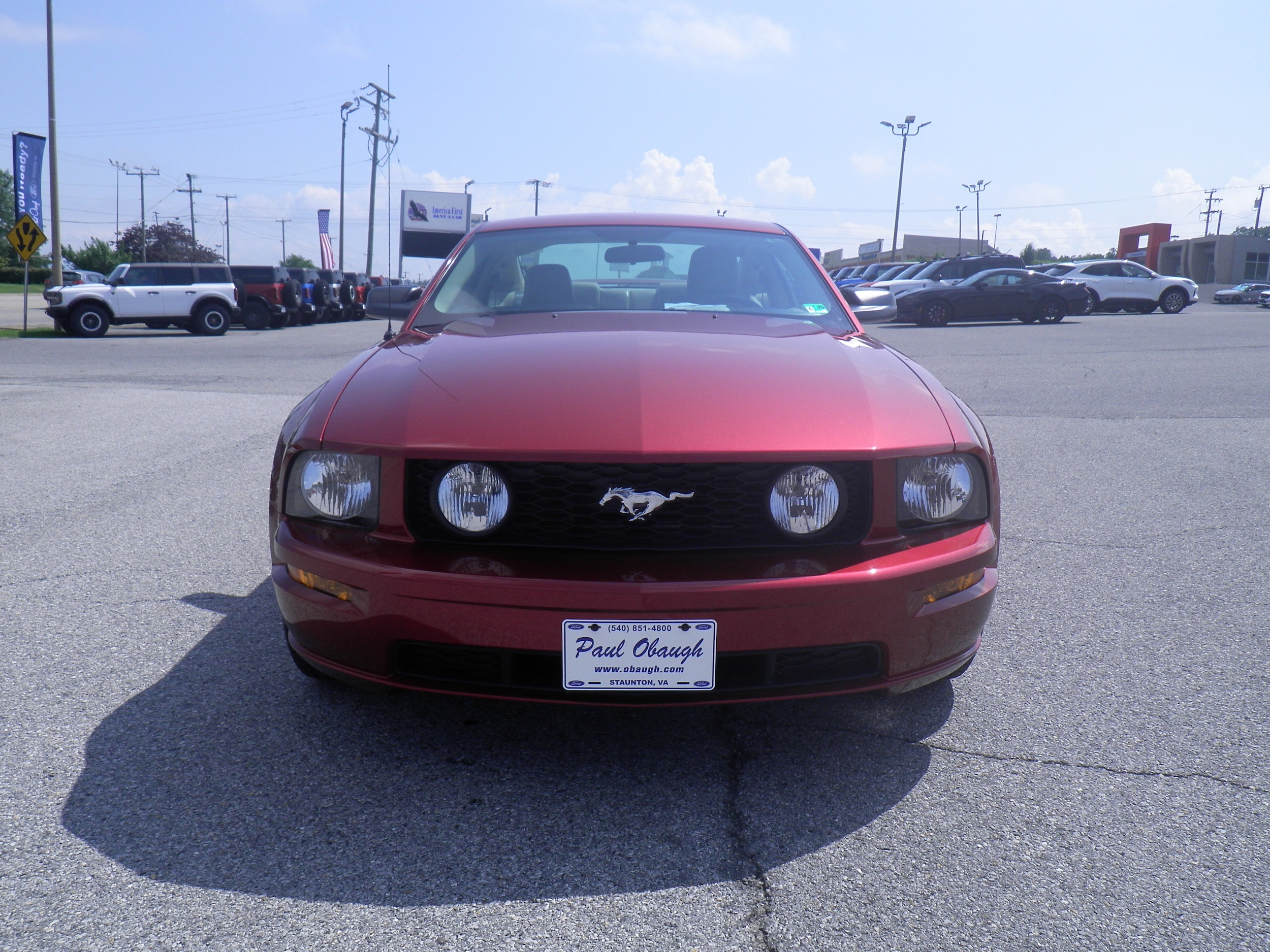 Used 2007 Ford Mustang GT Premium with VIN 1ZVFT82H975316803 for sale in Staunton, VA