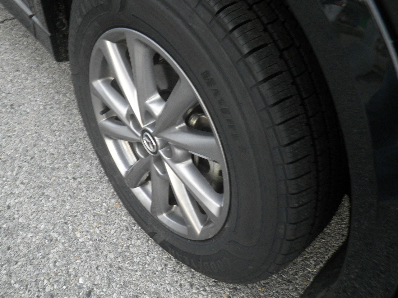 Photo 7