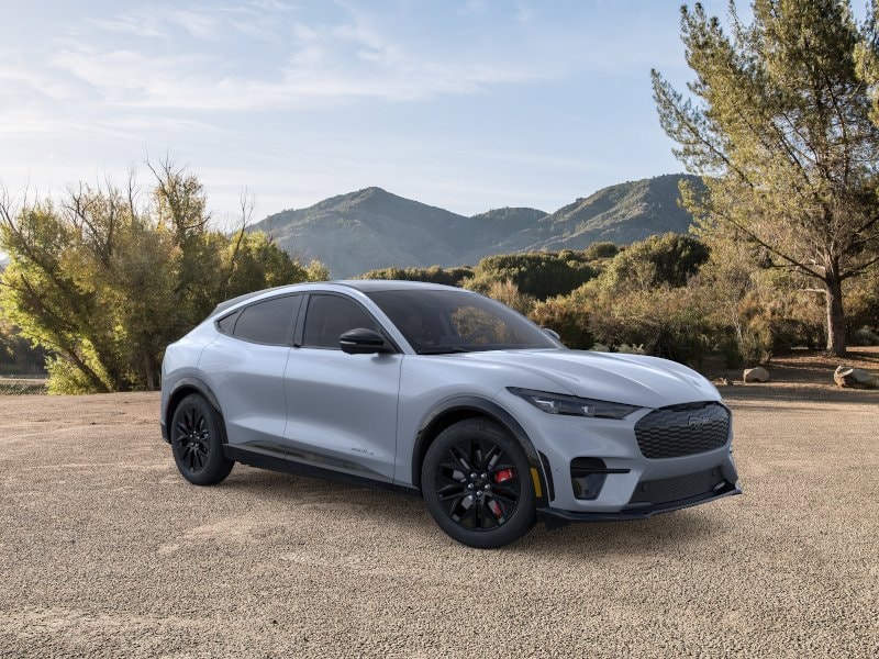 2025 Ford Mustang Mach-E Premium - Photo 7