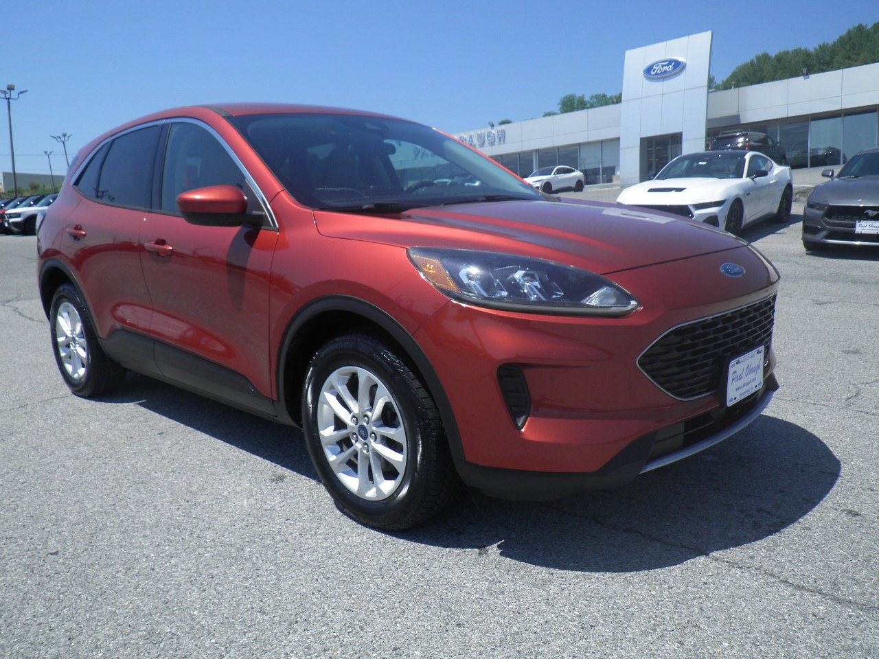 2020 Ford Escape SE AWD's photo
