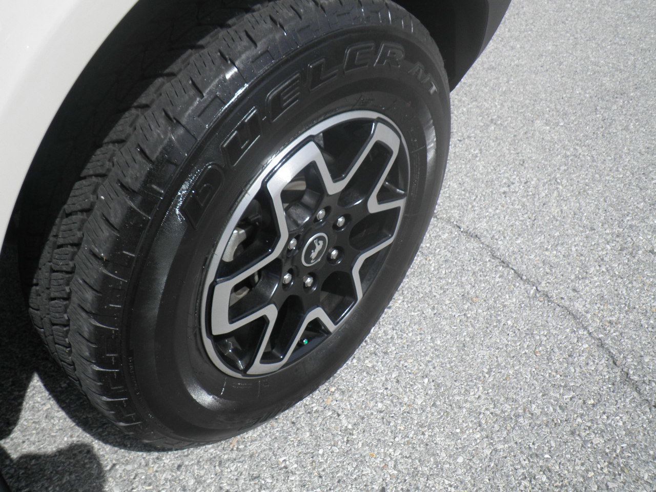 Photo 8