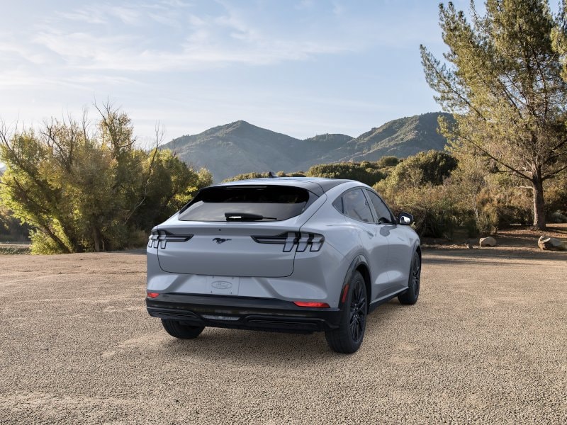 2025 Ford Mustang Mach-E Premium - Photo 8
