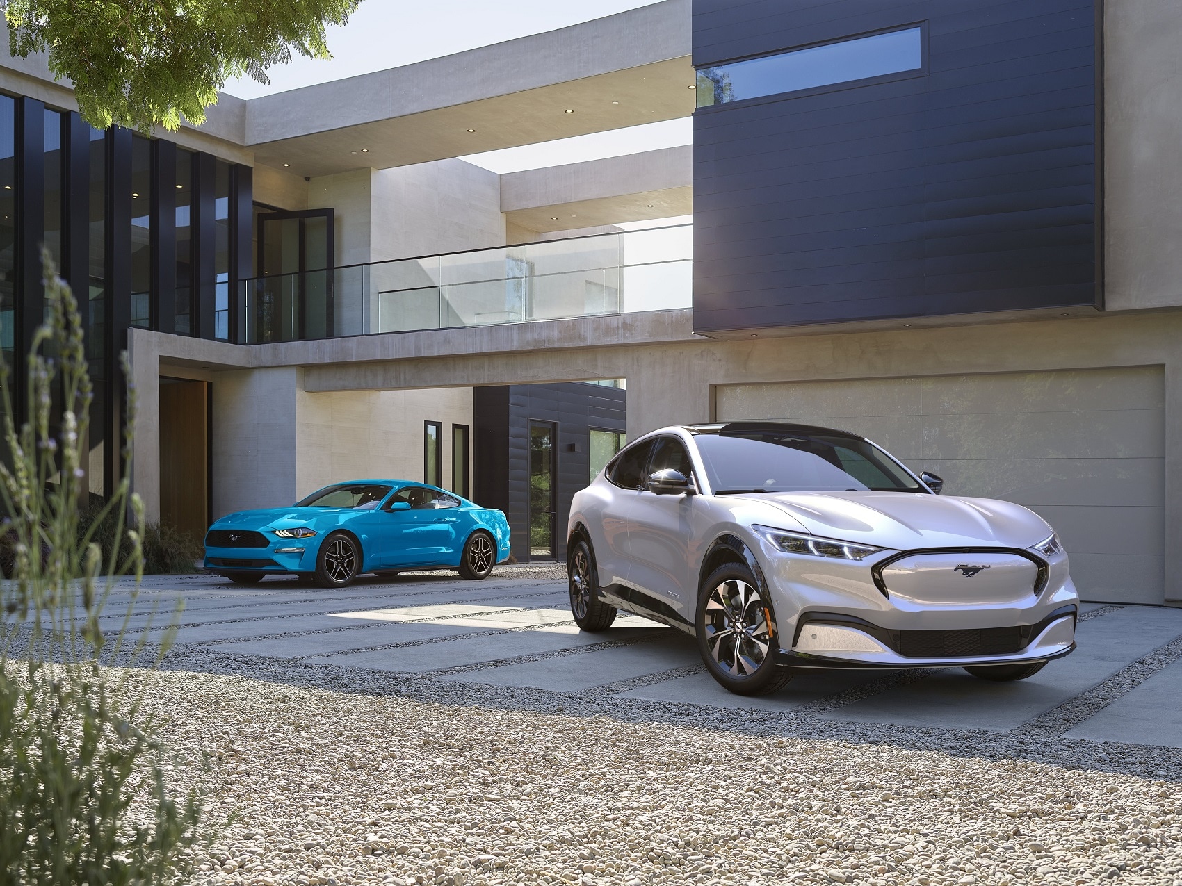 2022 Ford Mustang Mach-E