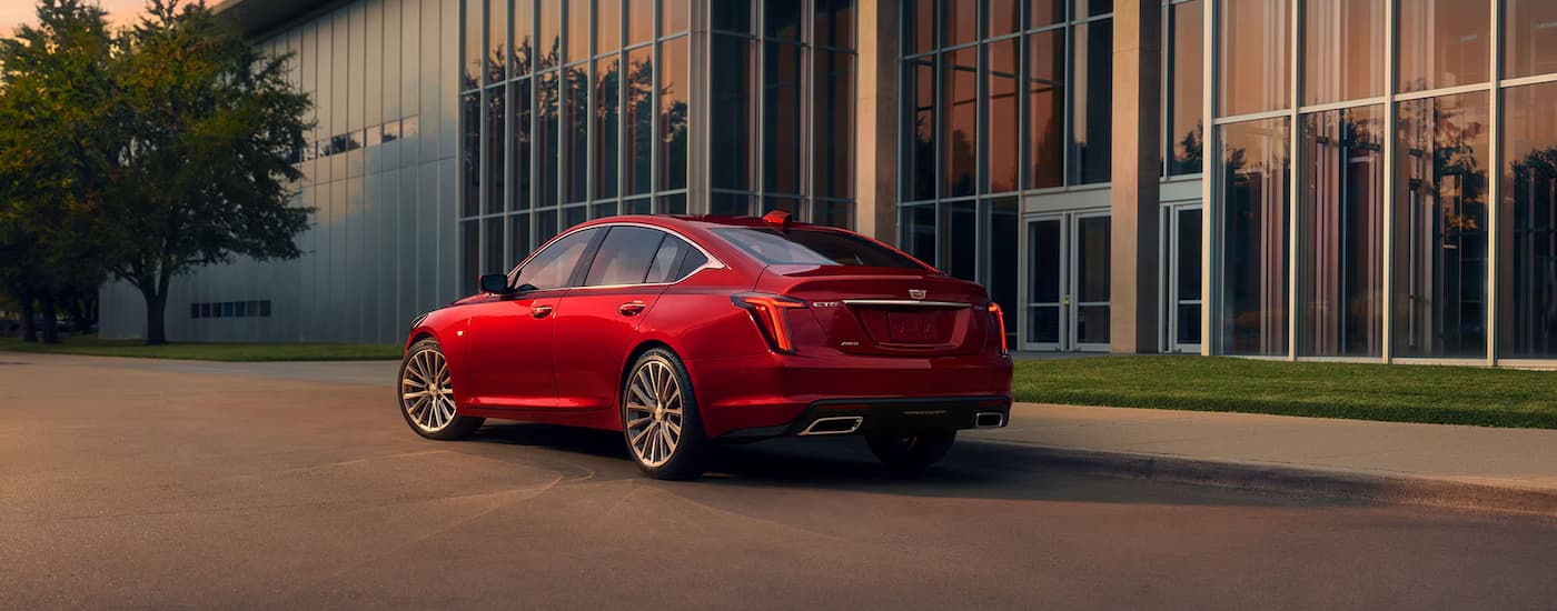 Rear view of a red 2025 Cadillac CT5.
