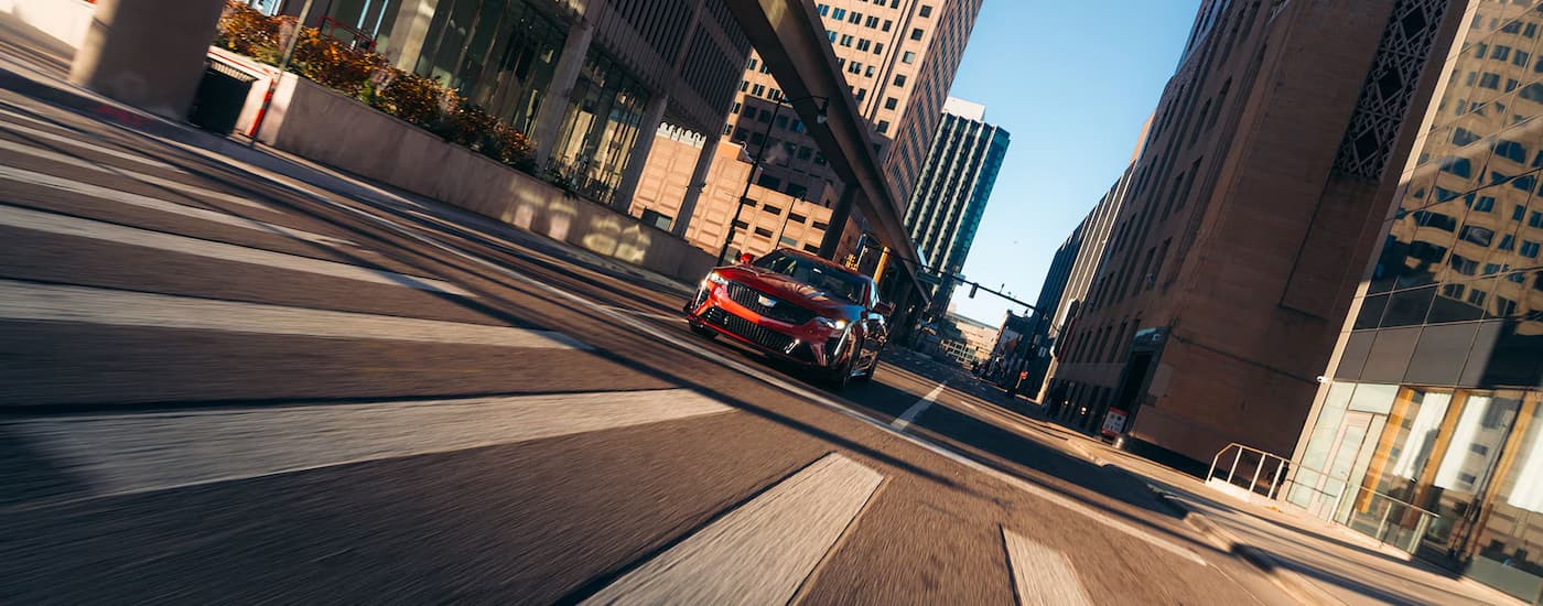 Red 2025 Cadillac CT4-V Blackwing driving to a Cadillac dealer near Hollywood.