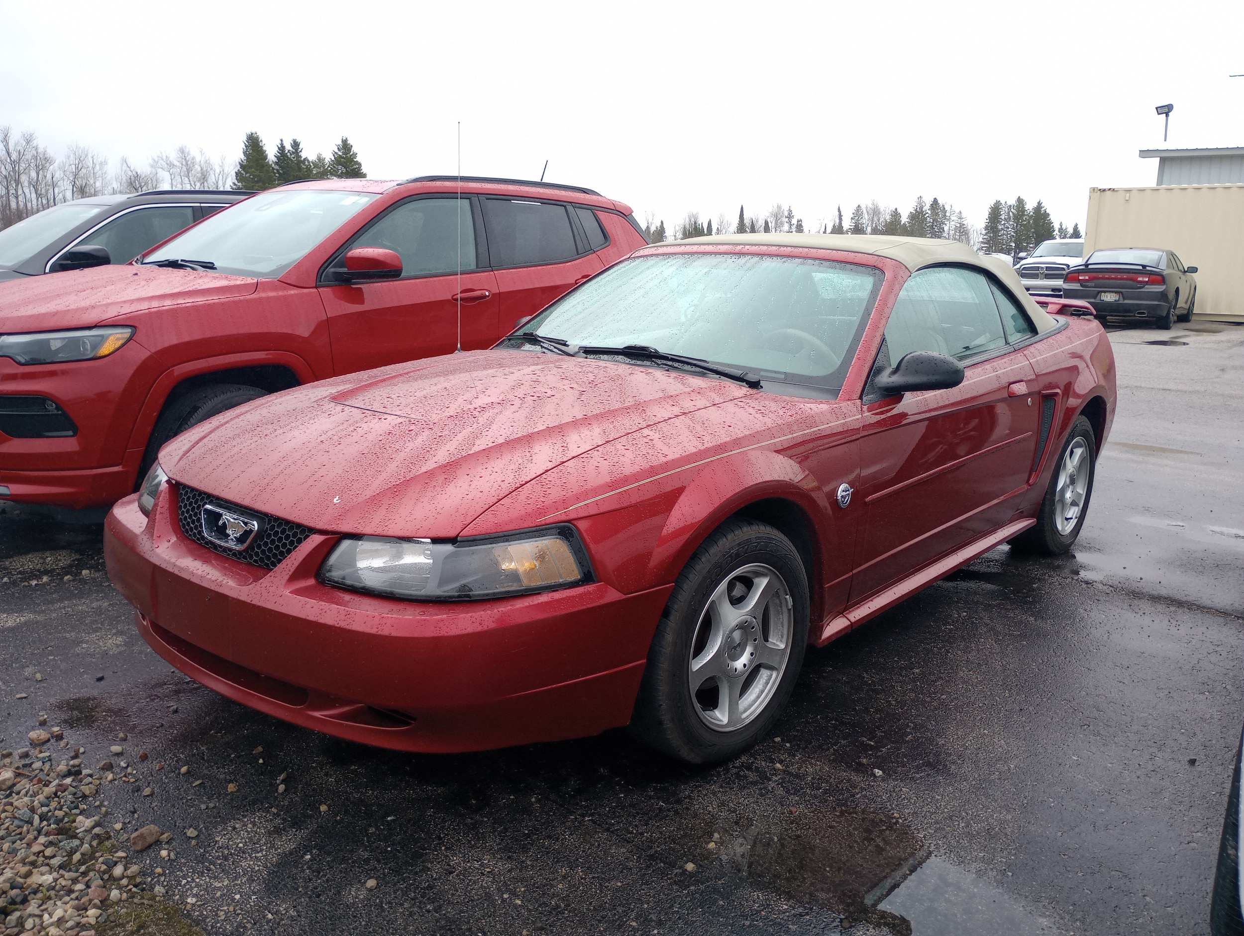 2004 Ford Mustang Deluxe