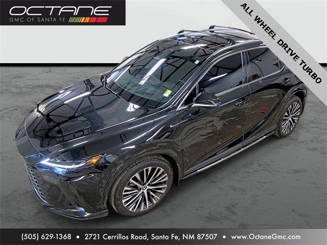 2024 Lexus RX 350's photo