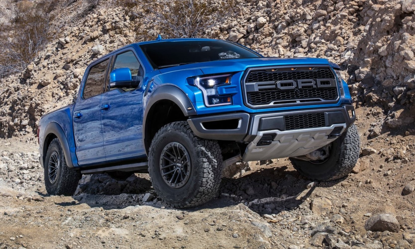 a blue used 2019 Ford F-150 Raptor Truck