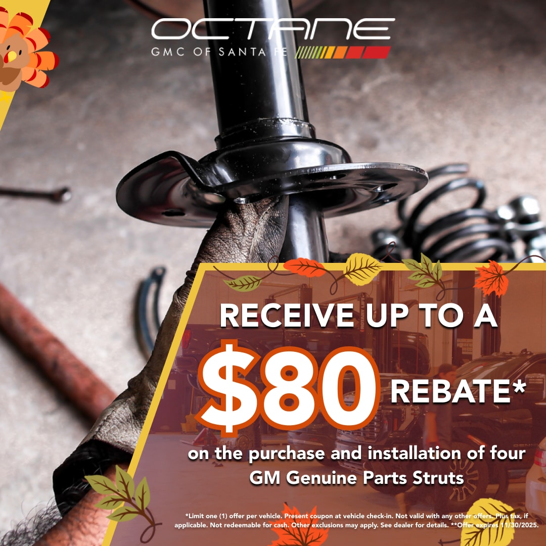 Receive upto $80 rebate on GM Genuine Parts Struts