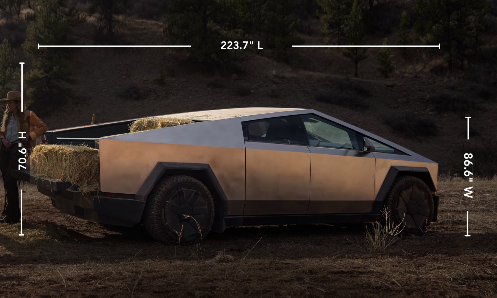 Exterior side image of a silver 2025 Tesla Cybertruck parked in a dirt forest landscape with its specs displayed