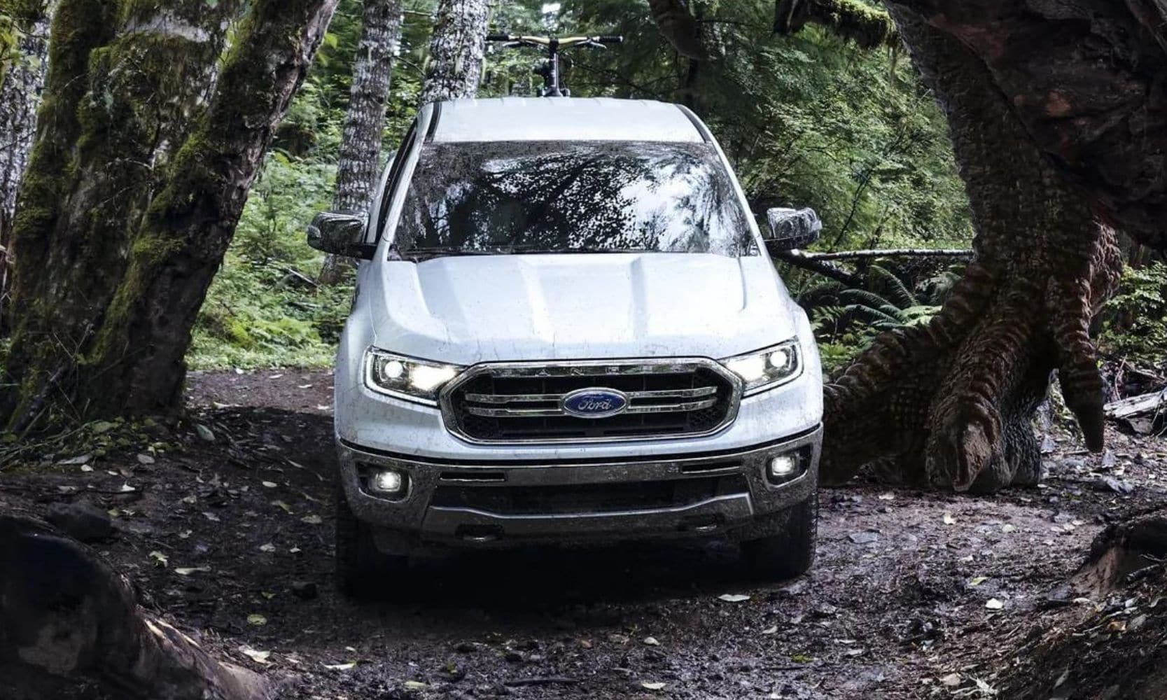 View of the front of a Ford Ranger driving through a forest under a tree branch
